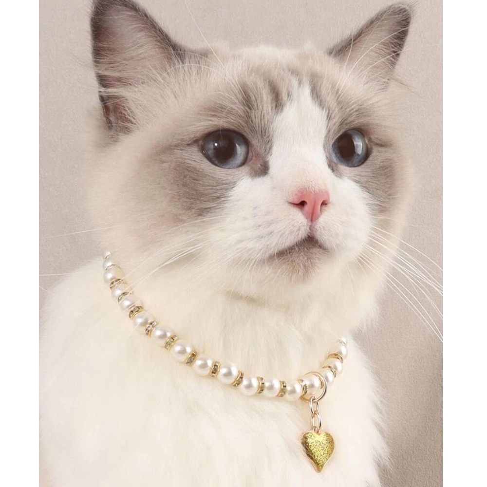 Heart Pendant Decor Pet Necklace 🐈